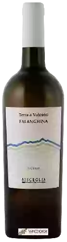 Wijnmakerij Bisceglia - Terra di Vulcano Falanghina