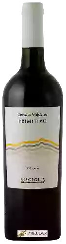 Wijnmakerij Bisceglia - Terra di Vulcano Primitivo
