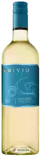 Wijnmakerij Bivio - Pinot Grigio