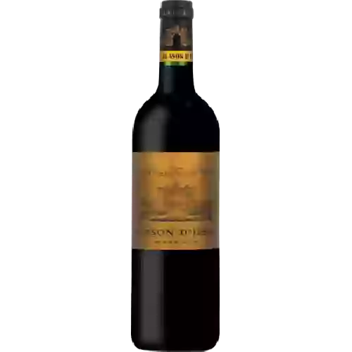 Wijnmakerij Blason Louis - Saint-Émilion Grand Cru