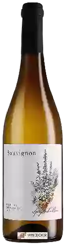 Wijnmakerij Blumenfeld - Sauvignon