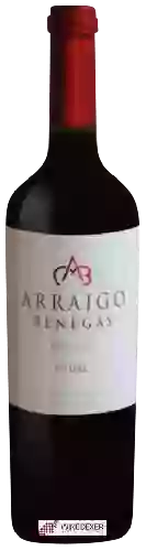 Wijnmakerij Benegas - Arraigo Benegas Dos Viñedos Malbec