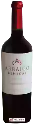 Wijnmakerij Benegas - Arraigo Benegas Estate Cabernet Franc