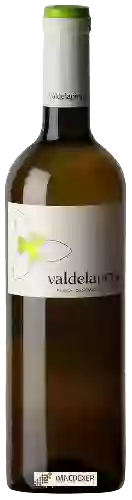 Wijnmakerij Hnos. del Villar - Valdelapinta Verdejo