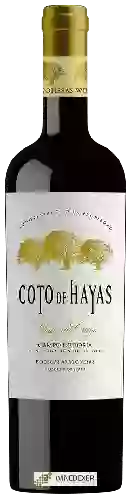 Bodegas Aragonesas - Coto de Hayas Viñas del Cierzo