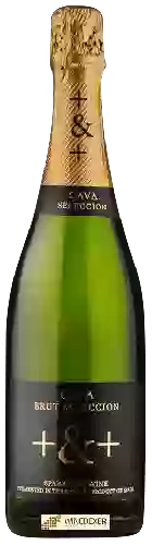 Wijnmakerij Pinord - + & + Cava Brut Seleccion Sparkling