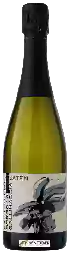 Wijnmakerij Borgo la Gallinaccia - Franciacorta Satèn Brut