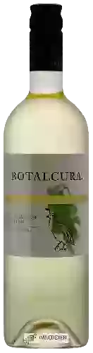 Wijnmakerij Botalcura - Codorniz  Sauvignon Blanc