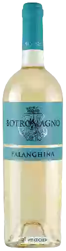 Wijnmakerij Botromagno - Falanghina