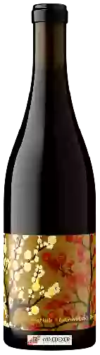 Wijnmakerij Brooks - Terue Pinot Noir