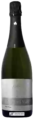 Wijnmakerij Ca N'Estella - Cava Rabetllat i Vidal Brut Nature