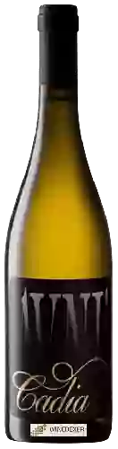 Wijnmakerij Cadia - Avni Chardonnay