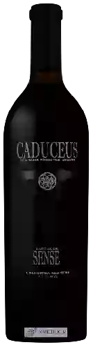 Wijnmakerij Caduceus - Nagual del Sensei