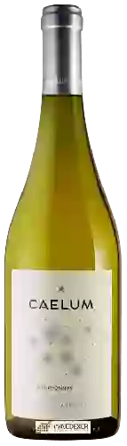 Wijnmakerij Caelum - Chardonnay