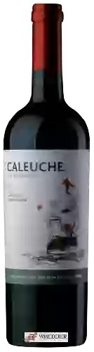 Wijnmakerij Caleuche - Reserve Cabernet Sauvignon