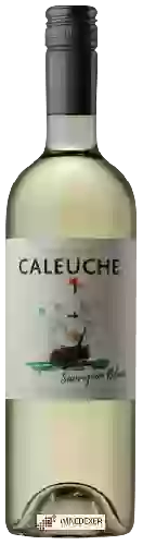 Wijnmakerij Caleuche - Sauvignon Blanc