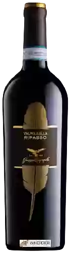 Wijnmakerij Campagnola - Valpolicella Ripasso