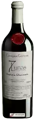 Wijnmakerij Campos Goticos - 7 Lunas Vendimia Seleccionada