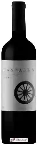 Wijnmakerij Cantagua - Classic Cabernet Sauvignon