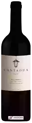 Wijnmakerij Cantagua - Merlot