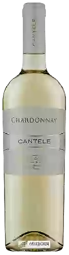 Wijnmakerij Cantele - Chardonnay