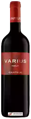 Wijnmakerij Cantele - Varius Merlot