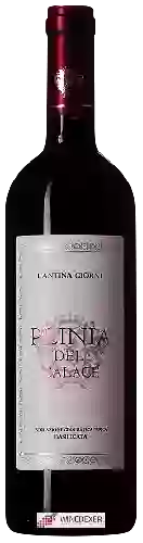 Wijnmakerij Cantina Giorni - Plinia del Calace