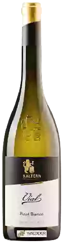 Wijnmakerij Cantina Kaltern - Pinot Bianco Vial
