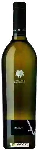 Wijnmakerij Cantina Rauscedo - Sauvignon