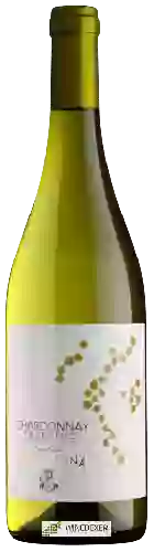 Wijnmakerij Cantina Rotaliana - Trentino Chardonnay