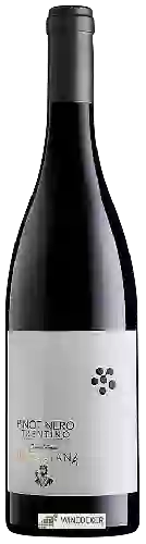 Wijnmakerij Cantina Rotaliana - Trentino Pinot Nero