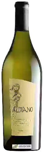 Wijnmakerij Cantina Tollo - Aldiano Trebbiano d'Abruzzo