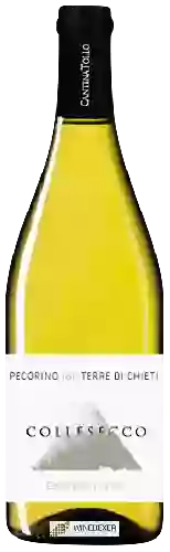 Wijnmakerij Cantina Tollo - Colle Secco Pecorino