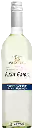 Wijnmakerij Cantine Paolini - Pinot Grigio