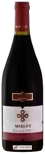 Wijnmakerij Cantine Rigonat - Merlot