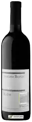 Wijnmakerij Cantonale di Mezzana - Mezzana Bongio Merlot