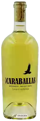 Wijnmakerij Caraballas - Sauvignon Organic