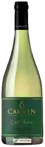 Wijnmakerij Carmen - Gran Reserva Sauvignon Blanc