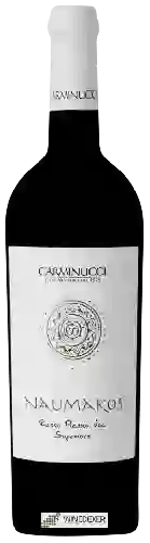 Wijnmakerij Carminucci - Naumakos Rosso Piceno Superiore