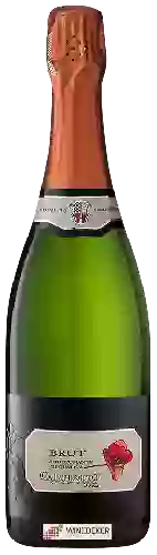 Wijnmakerij Carpineto - Brut