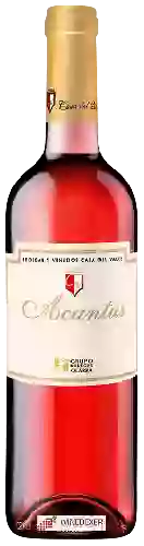Wijnmakerij Casa del Valle - Acantus Merlot - Syrah Rosado
