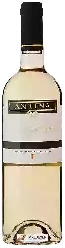 Wijnmakerij Casa del Valle - Antina Sauvignon Blanc