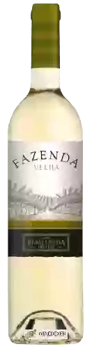 Wijnmakerij Casa Ermelinda Freitas - Fazenda Velha Branco