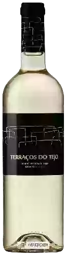 Wijnmakerij Casal da Coelheira - Terraços do Tejo Branco