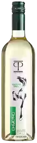 Wijnmakerij Casas Patronales - Sauvignon Blanc Chúcaro