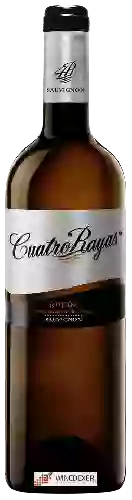 Wijnmakerij Cuatro Rayas - Sauvignon