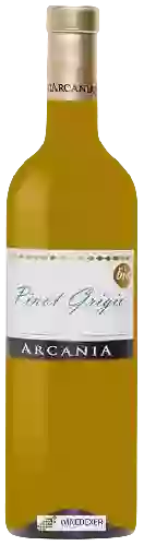 Wijnmakerij Castello di Arcania - Pinot Grigio