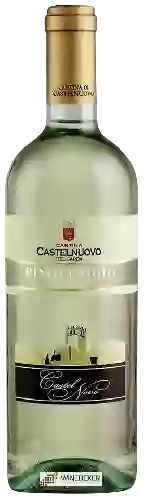 Wijnmakerij Cantina di Castelnuovo del Garda - Castel Novo Pinot Grigio