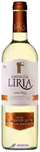 Wijnmakerij Castillo de Liria - Medium White