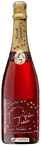 Wijnmakerij Castillo Perelada - Cava Brut Rosado Torre Galatea